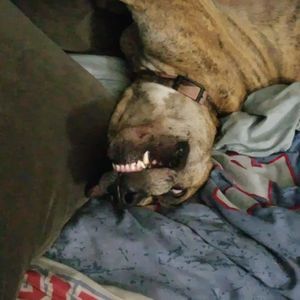 Meet your Posher, Joni